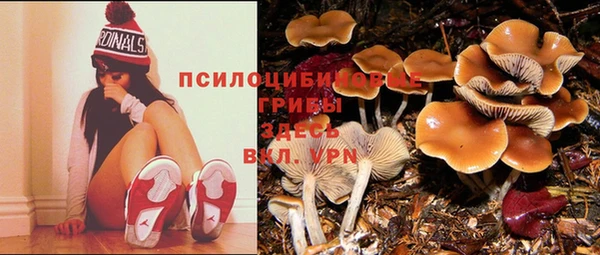 mix Гусиноозёрск