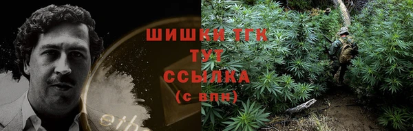 mix Гусиноозёрск