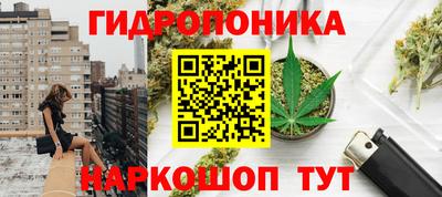 трава Камышлов