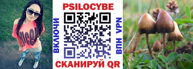 Псилоцибиновые грибы Magic Shrooms  где продают наркотики  Сальск 