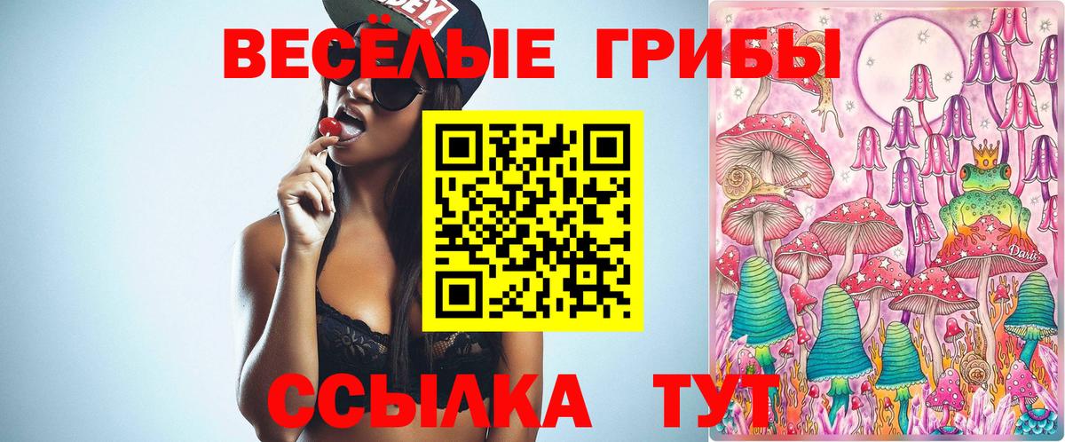 Сальск  Галлюциногенные грибы ЛСД  Вход с VPN 